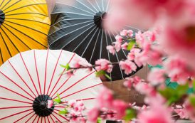 اصول هایکو به روایت «مایوزومی مادوکا» از هایکونویسان مشهور ژاپنی
