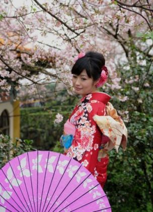 بهار در ژاپن ـ شکوفه‌های گیلاس ـ 1