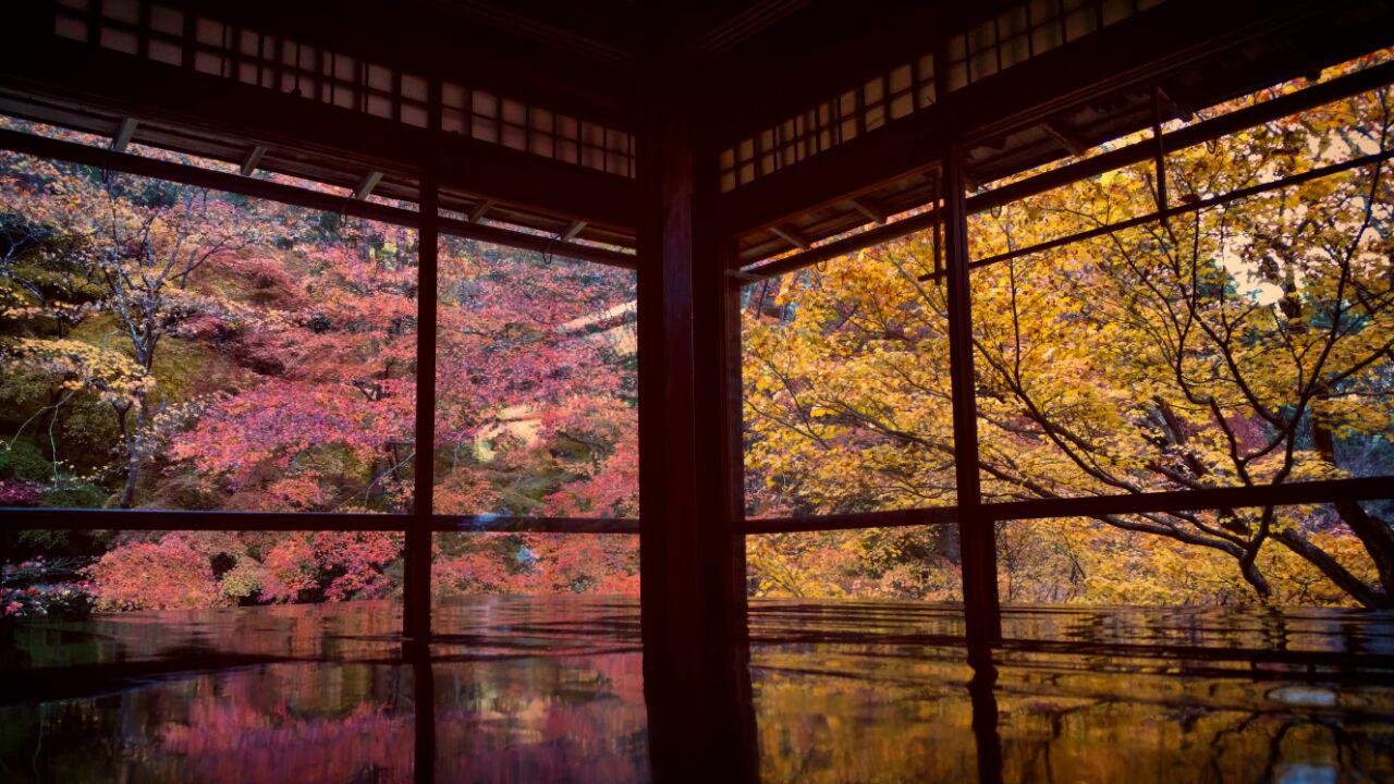 ‏پاییز زیبا در معبد روری‌کویین ‏(瑠璃光院)
